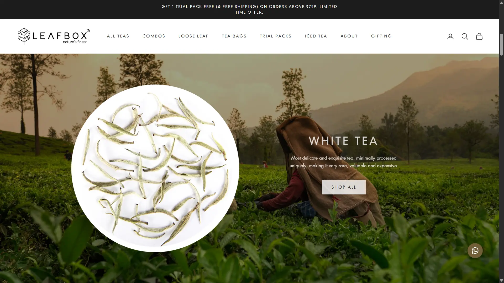 Screenshot 2025-04-16 235539